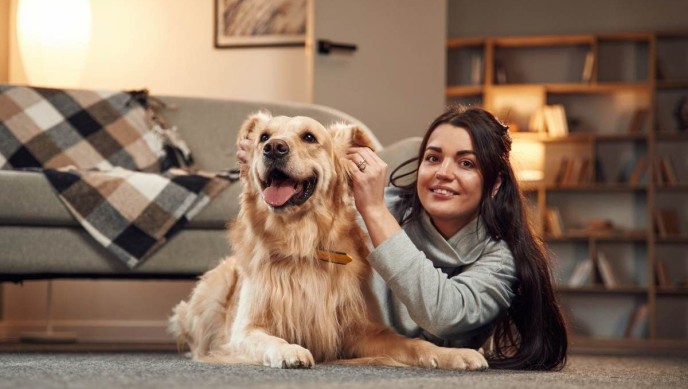 Evde Köpek Bakımı Nasıl Yapılır?