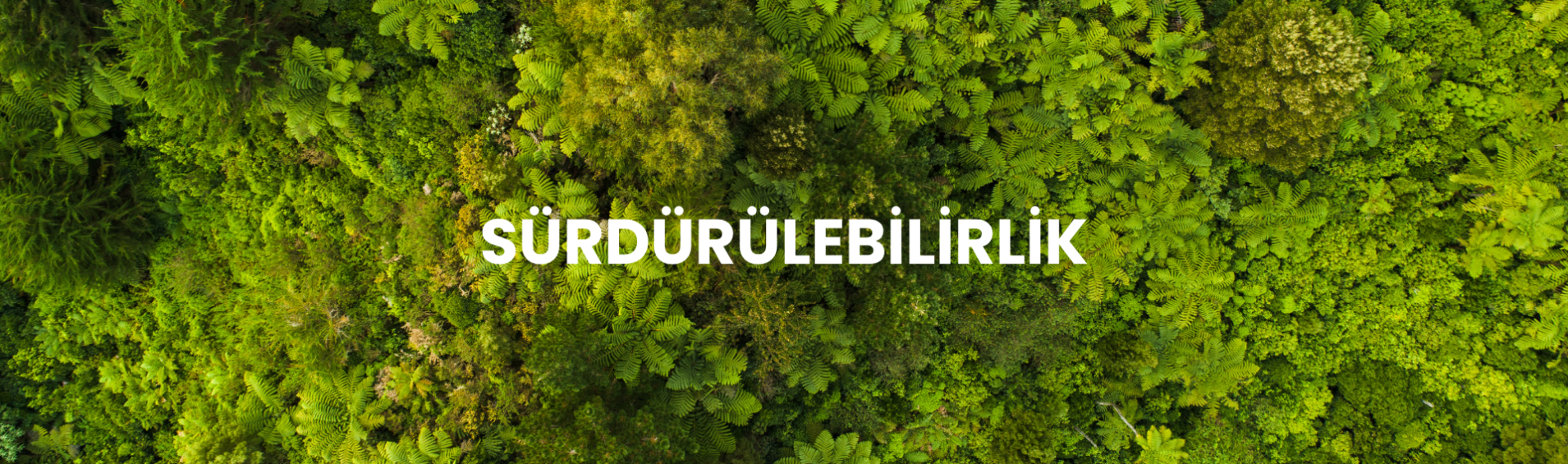 Sürdürülebilirlik